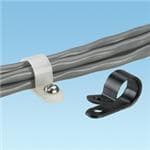 CCS31-S8-M