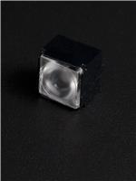 CP15308_LARISA-WW-PIN