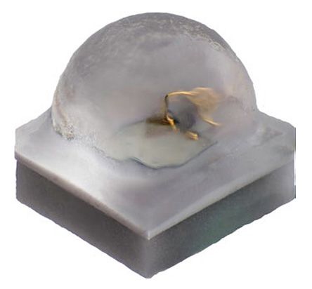 XQAROY-02-0000-000000601