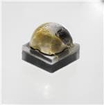 XQEAPA-H2-0000-000000701