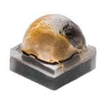 XQEAWT-00-0000-00000BEE1